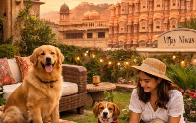 Pet Friendly Airbnb in Jaipur: 7 Best Stays for a Comfortable Trip with Your Pets